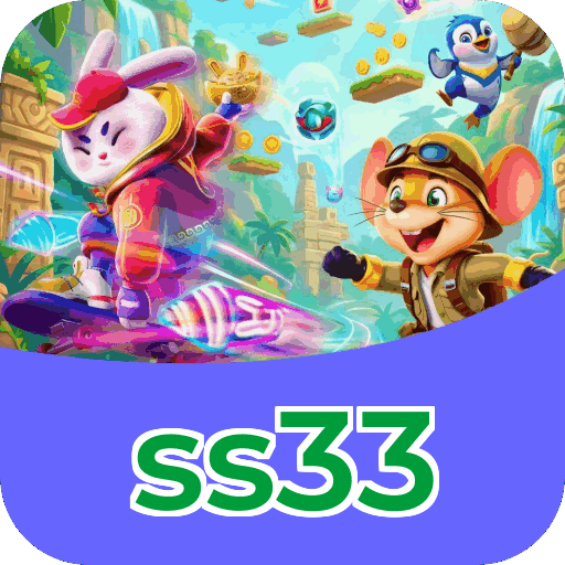 Interface ss33